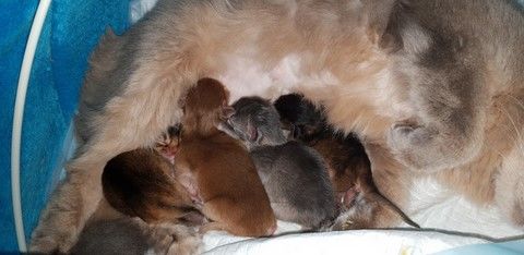 Naissance