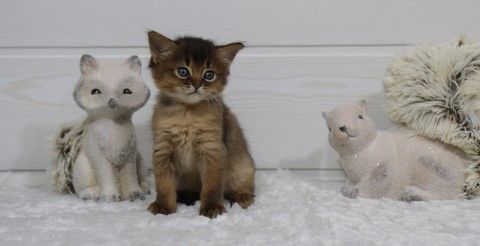 1 Mois