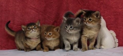 1 Mois