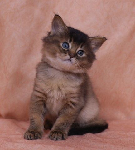 1 Mois