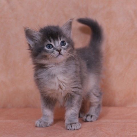 1 Mois
