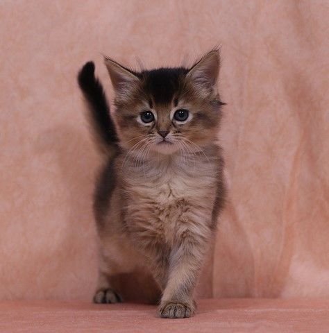 1 Mois