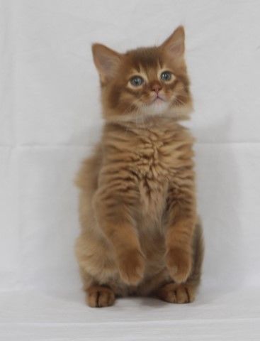 2 MOIS