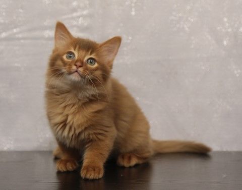 2 MOIS