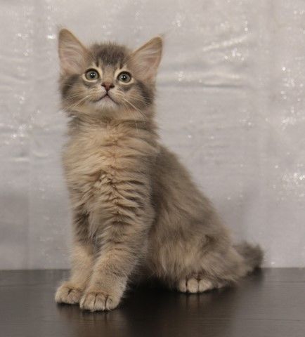 2 MOIS