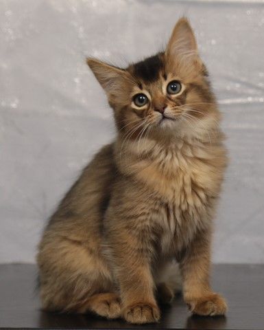 2 MOIS