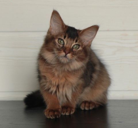 3 MOIS
